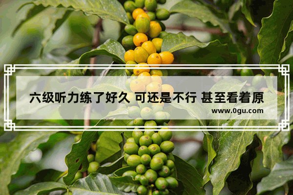 六级听力练了好久 可还是不行 甚至看着原文听也不懂 题干都听不懂怎么办 😭