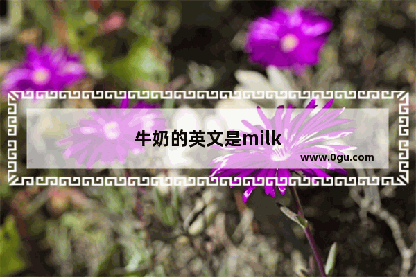 牛奶的英文是milk