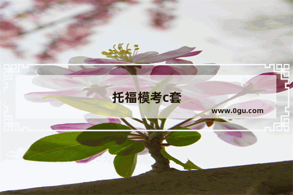 托福模考c套