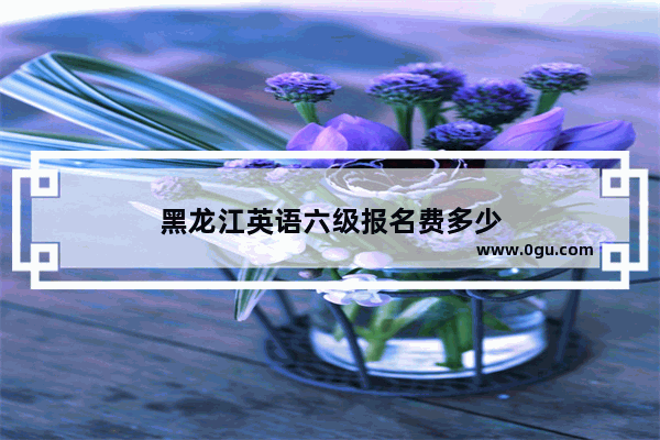 黑龙江英语六级报名费多少