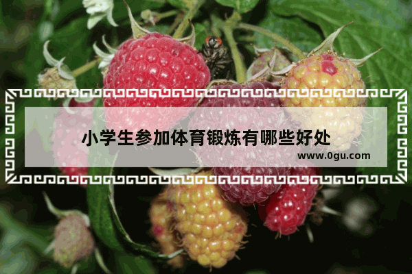 小学生参加体育锻炼有哪些好处