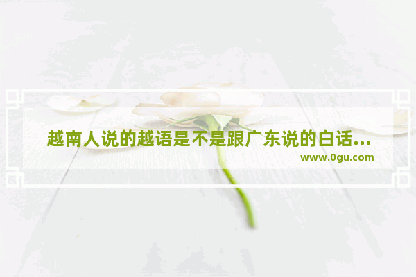 越南人说的越语是不是跟广东说的白话相似呢