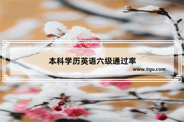 本科学历英语六级通过率