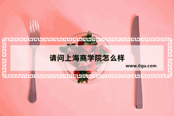 请问上海商学院怎么样