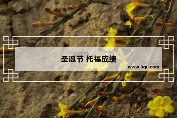 圣诞节 托福成绩
