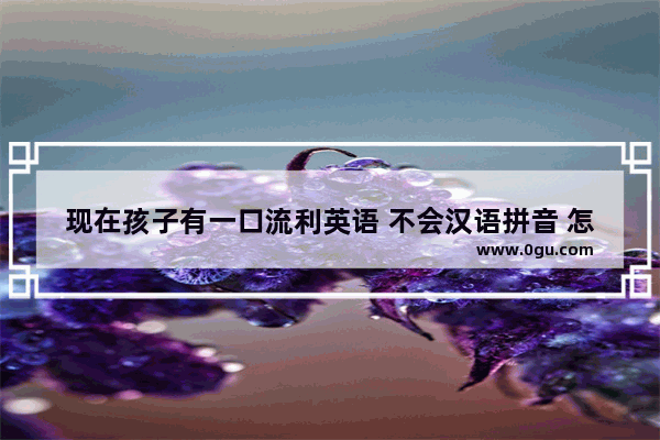 现在孩子有一口流利英语 不会汉语拼音 怎么办