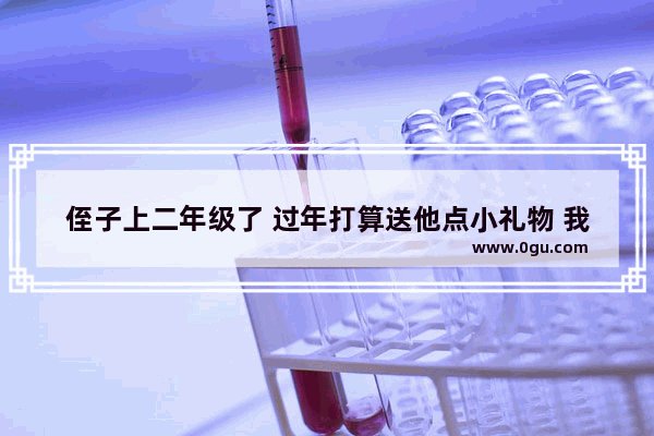 侄子上二年级了 过年打算送他点小礼物 我是送他200块王者荣耀皮肤还是买点实物好
