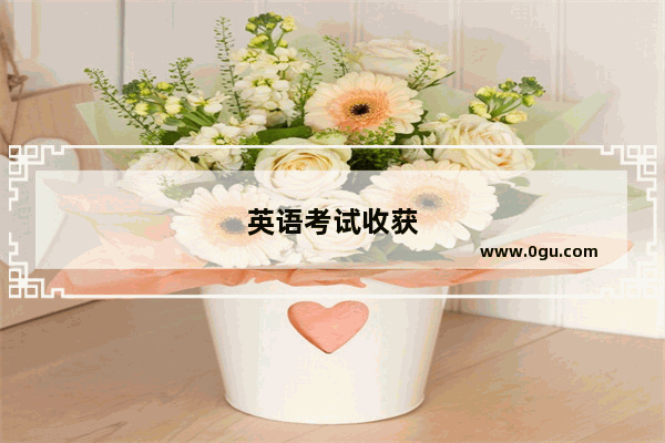 英语考试收获
