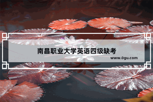 南昌职业大学英语四级缺考