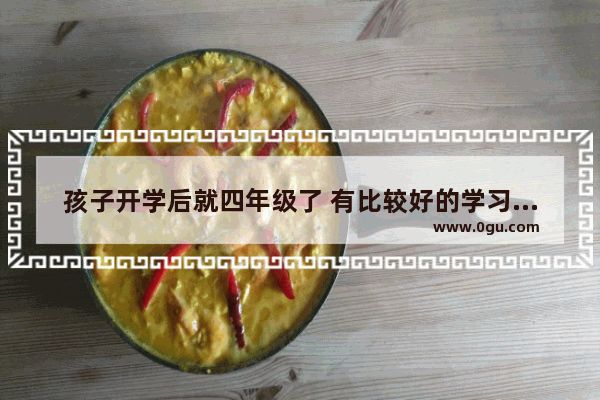 孩子开学后就四年级了 有比较好的学习资料推荐吗