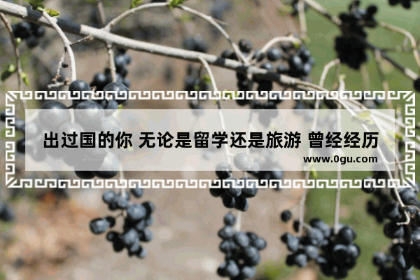 出过国的你 无论是留学还是旅游 曾经经历过最尴尬的事情是什么
