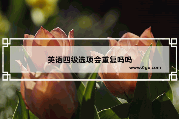 英语四级选项会重复吗吗