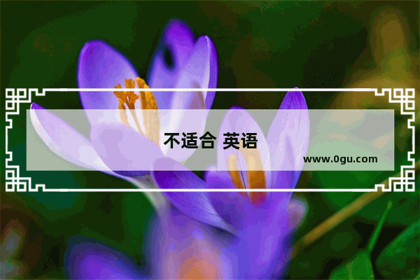 不适合 英语