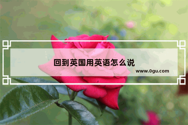 回到英国用英语怎么说