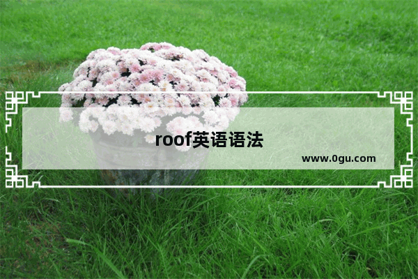 roof英语语法