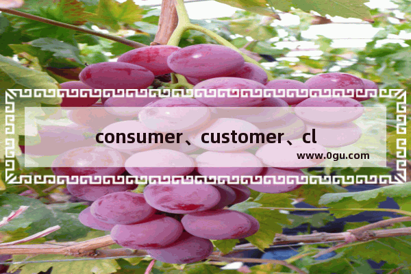 consumer、customer、client有何区别