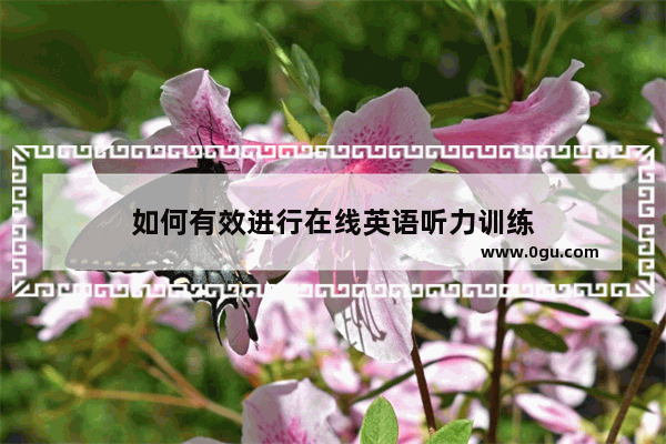 如何有效进行在线英语听力训练