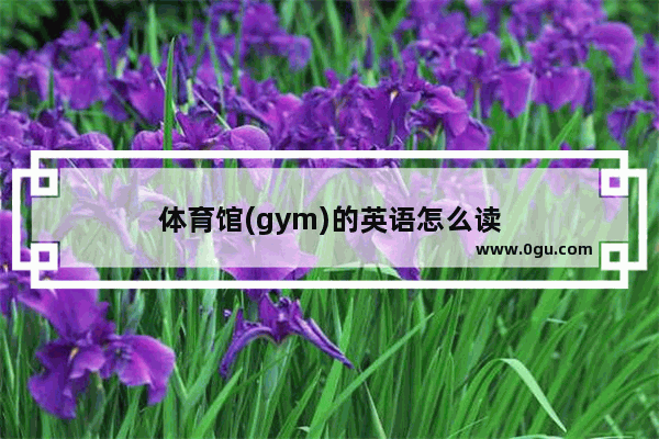 体育馆(gym)的英语怎么读
