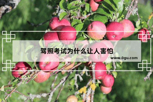 驾照考试为什么让人害怕