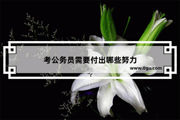 考公务员需要付出哪些努力