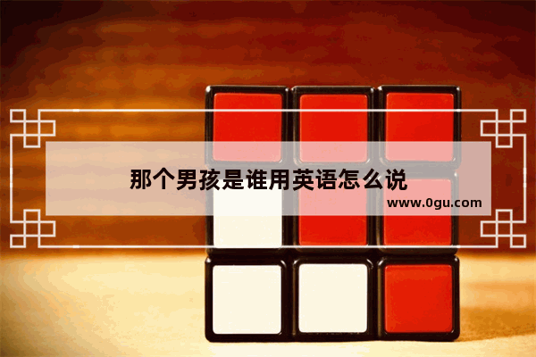 那个男孩是谁用英语怎么说
