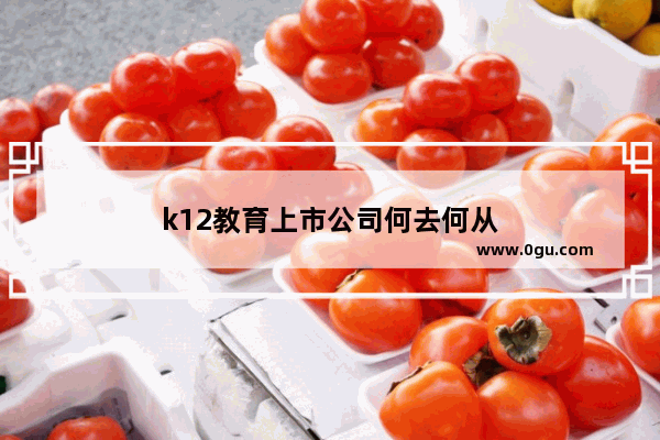 k12教育上市公司何去何从