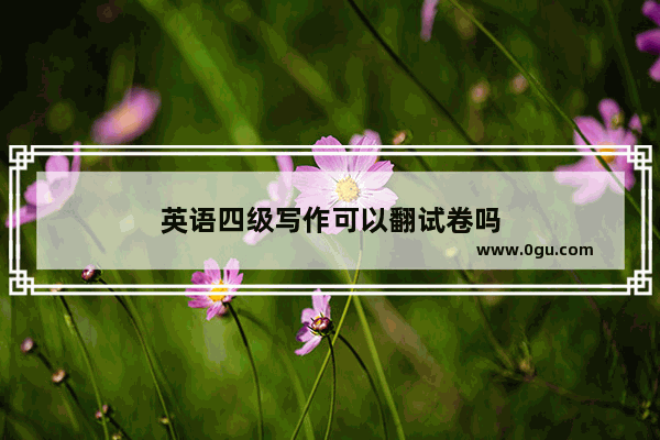 英语四级写作可以翻试卷吗