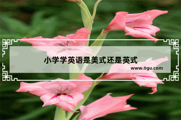 小学学英语是美式还是英式