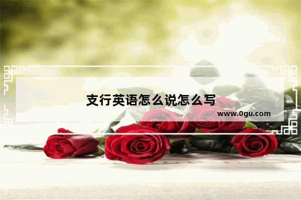 支行英语怎么说怎么写