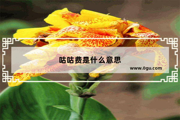 咕咕费是什么意思