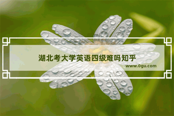 湖北考大学英语四级难吗知乎