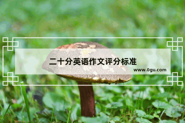 二十分英语作文评分标准