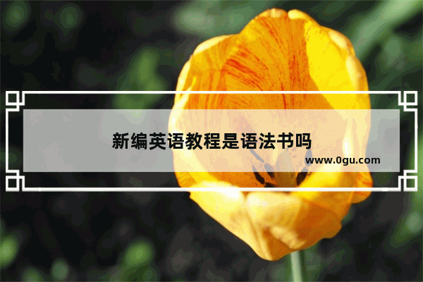 新编英语教程是语法书吗