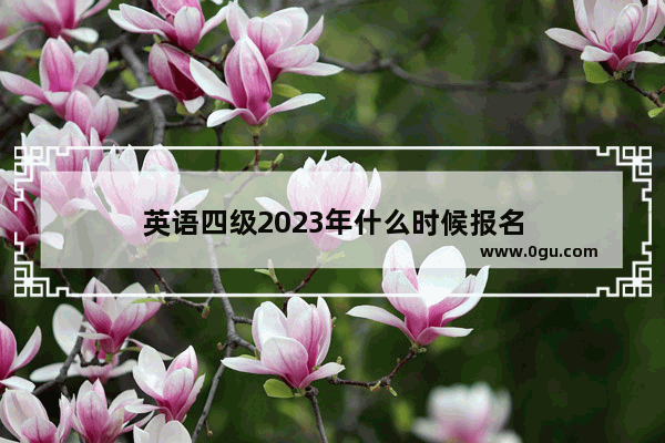 英语四级2023年什么时候报名