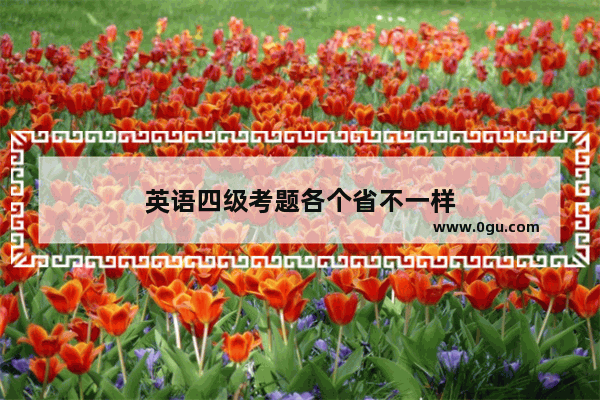 英语四级考题各个省不一样