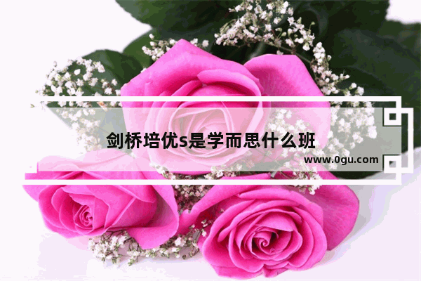 剑桥培优s是学而思什么班