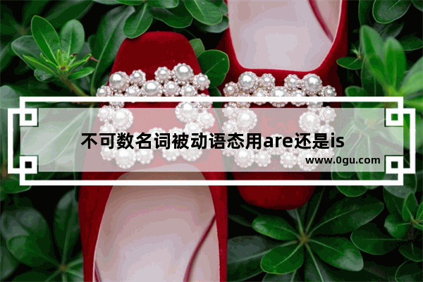 不可数名词被动语态用are还是is
