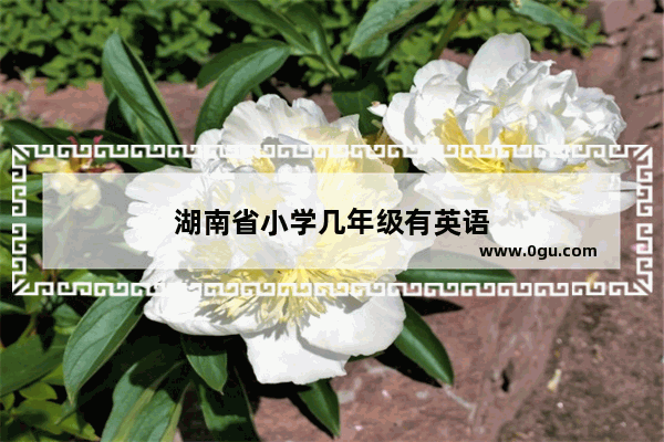 湖南省小学几年级有英语