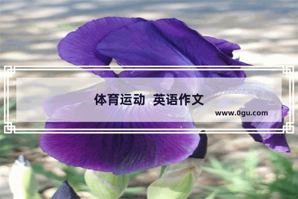 体育运动  英语作文