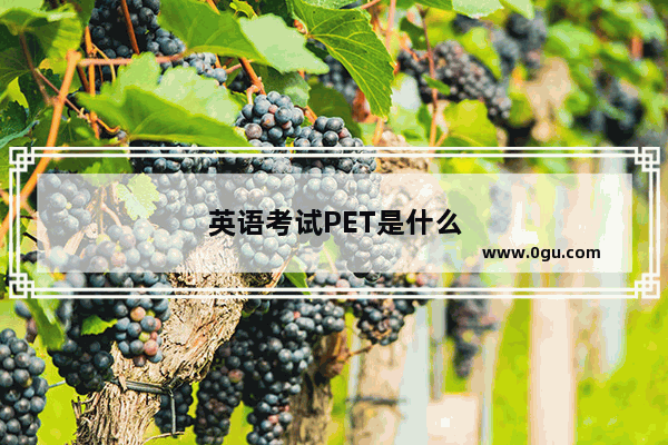 英语考试PET是什么