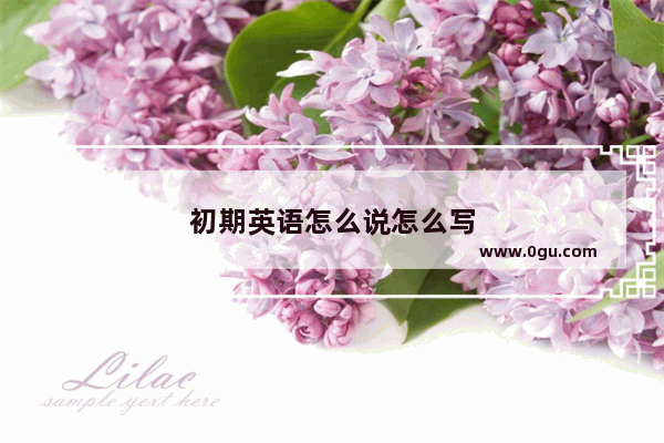 初期英语怎么说怎么写