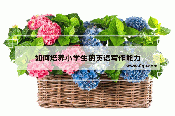 如何培养小学生的英语写作能力