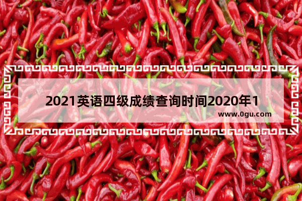 2021英语四级成绩查询时间2020年11月