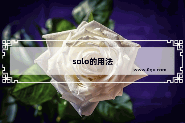 solo的用法