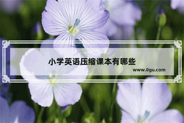 小学英语压缩课本有哪些