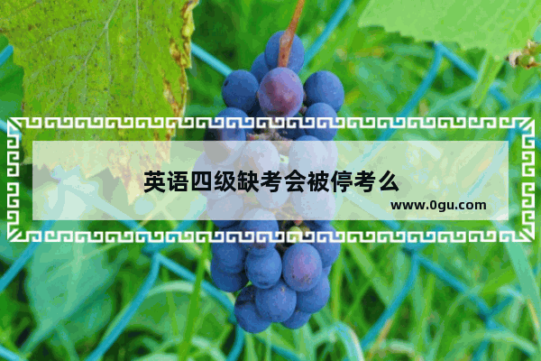 英语四级缺考会被停考么