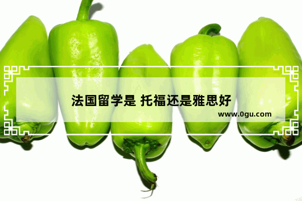 法国留学是 托福还是雅思好
