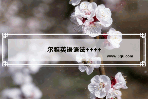 尔雅英语语法++++