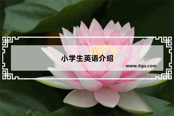 小学生英语介绍