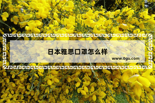 日本雅思口罩怎么样